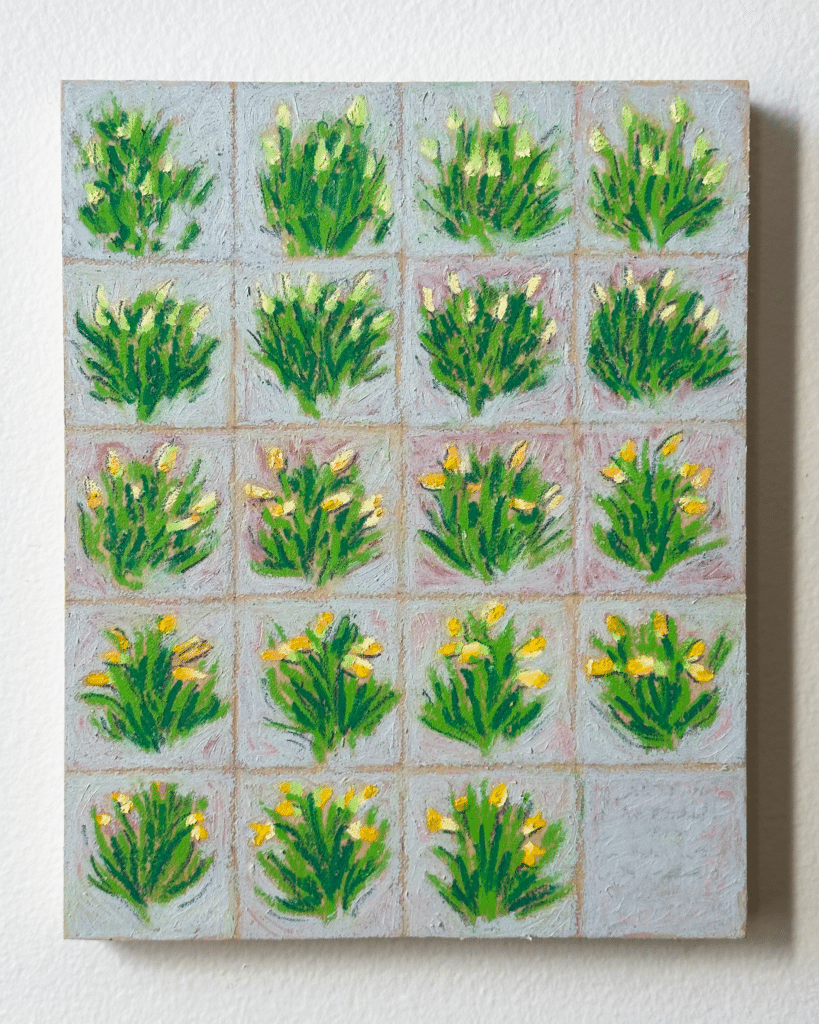 daffodils