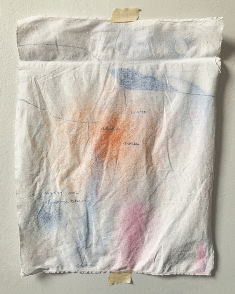 fabric1